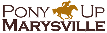 Pony Express Partership for Children logo