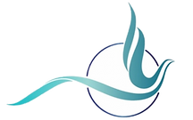 Transition Professionals logo
