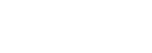 Bench Mark Program logo