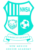 New Mexico Soccer Academy Inc logo