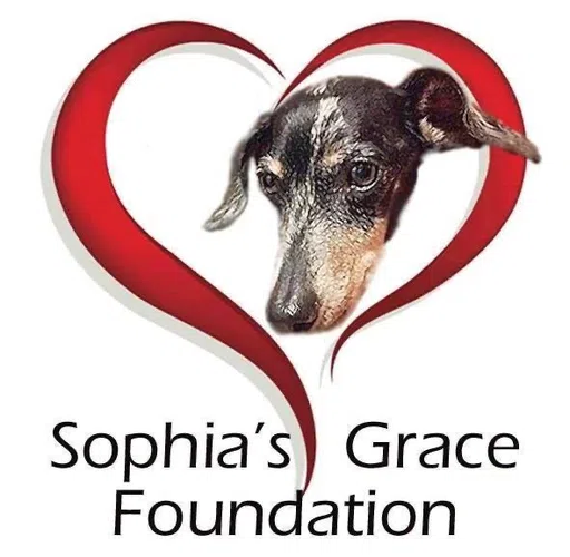 Sophias Grace Foundation logo