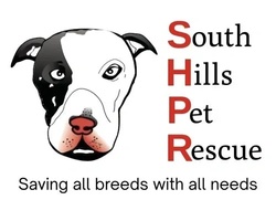 South Hills Pet Rescue & Rehabilitation Resort logo