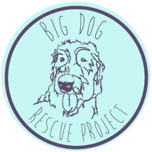 Big Dog Rescue Project Inc logo