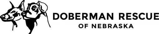 Doberman Rescue of Nebraska Inc logo