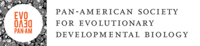 Pan American Society for Evolutionary Developmental Biology logo