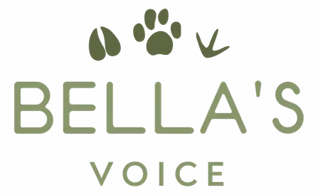 Bellas Voice logo