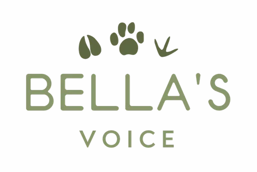 Bellas Voice logo