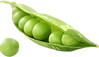 Plant-Based Prevention of Disease Inc logo