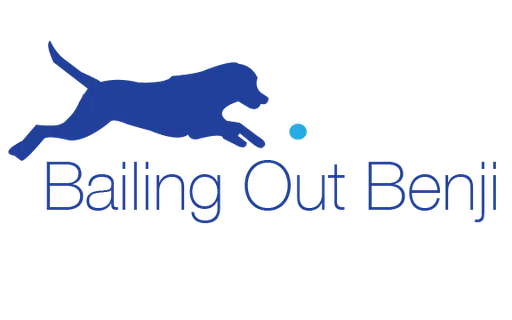 Bailing Out Benji logo