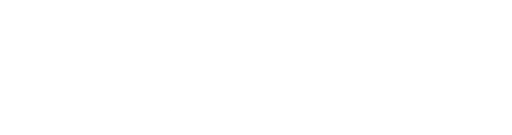 RIC Obarrys Dolphin Project logo