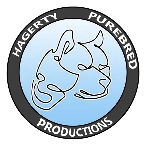 Hagerty High School Theatre Booster Club Inc logo