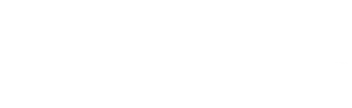Bridge of Hope logo