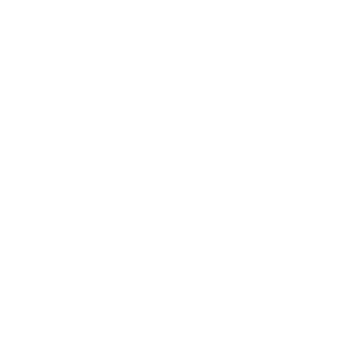 Perspectives of Freedom Foundation Inc logo