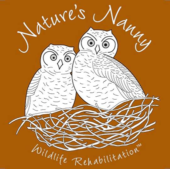 Natures NANNY Wildlife Rehabilitation logo