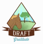 Draft Gratitude logo