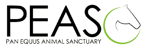 Pan Equus Animal Sanctuary logo
