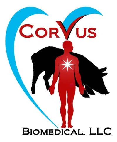 Corvus Foundation logo