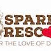Spark Rescue Santa Barbara logo