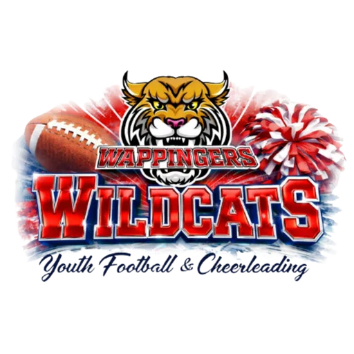 Wappingers Falls American Youth Football and Cheer logo