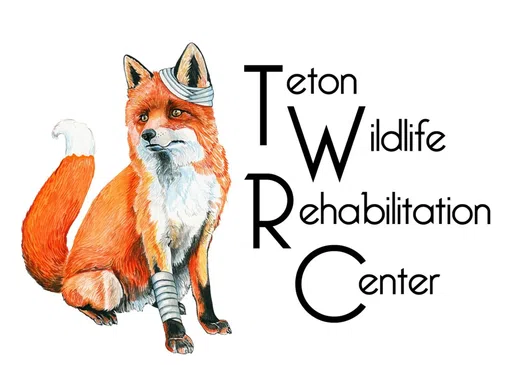 Teton Wildlife Rehabilitation Center logo