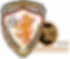 DR Phillips Soccer Club Corporation logo