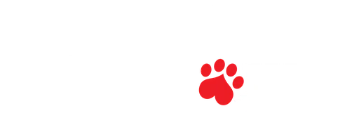 Day Before the Rainbow Rescue Adoption and Transport Inc logo