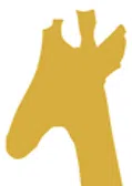 Bandera Natural History and Art Museum logo