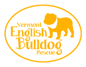 Vermont English Bulldog Rescue Inc logo