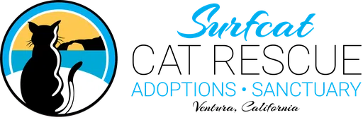 Surfcat Cafe and Adoption Center logo