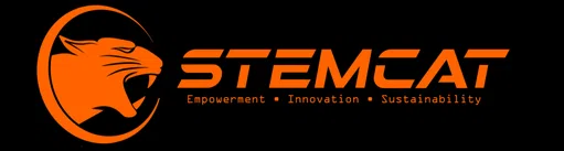 I Will Mentorship Foundation logo