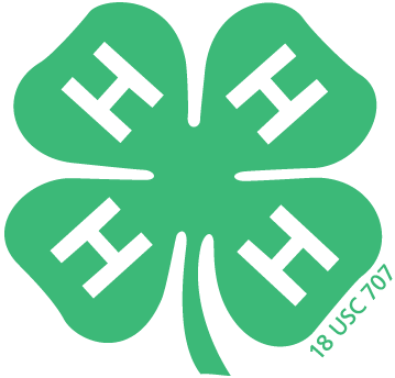 Connecticut 4-H Foundation Inc logo