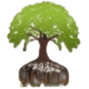 Sound Mind Sound Body Foundation logo