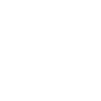 Piedmont Triad Football Club logo