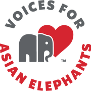Voice for Asian Elephants Society logo