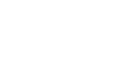 Big Sky Bravery Foundation logo