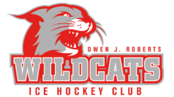 Wildcats ICE Hockey Club logo