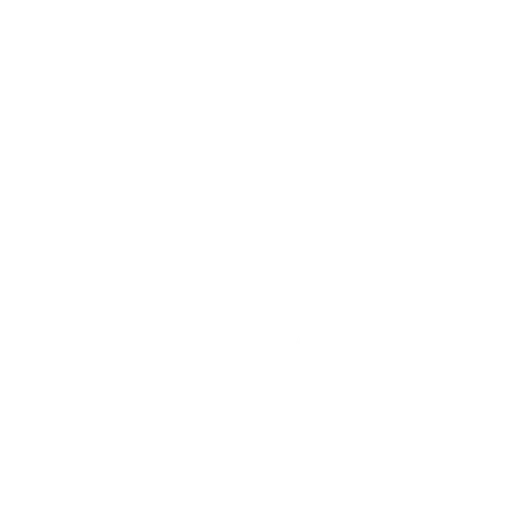 STEVS Wish Inc logo