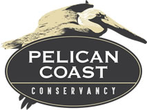 Pelican Coast Conservancy Inc logo
