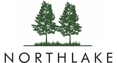 Ness Healthcare NFP logo