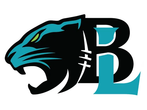American Youth Football Inc logo