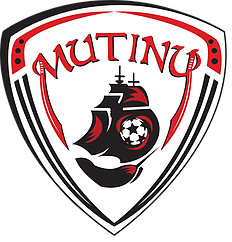 North Manatee Soccer Club logo