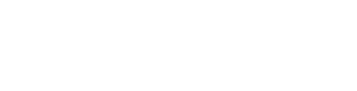 Palaver Strings Incorporated logo