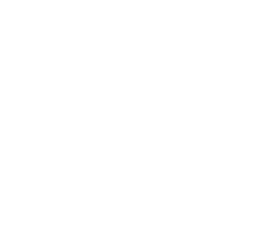 Service Year Exchange Inc logo