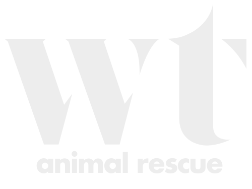 Wolf Trap Animal Rescue logo