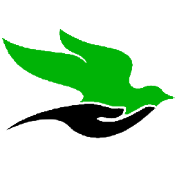 Favor International Inc logo