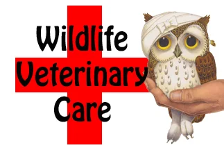 Wildlife Veterinary Care logo
