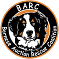 Bernese Auction Rescue Coalition Inc logo