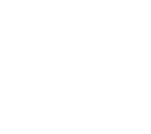Kent-Sussex Industries Inc logo