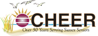 Cheer Inc logo