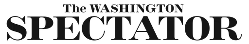 Public Concern Foundation Inc logo
